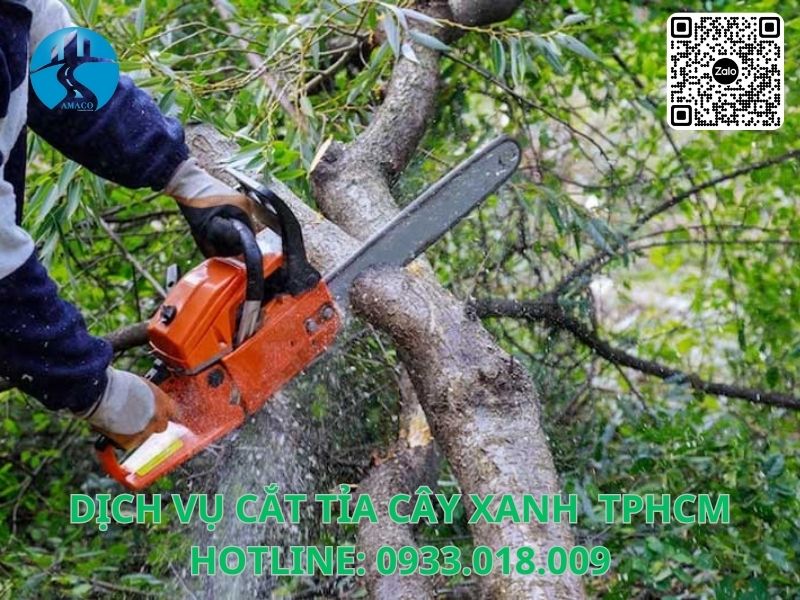 Đơn vị cắt tỉa cây xanh trọn gói TPHCM