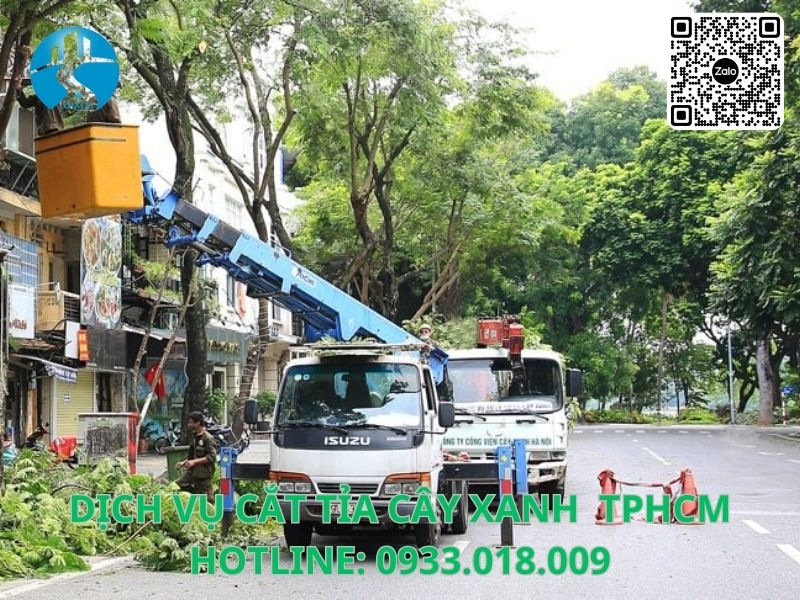 Địa chỉ cắt tỉa cây xanh chuyên nghiệp tại TPHCM