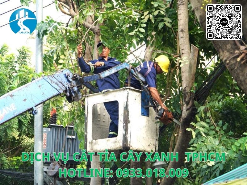 Nhân viên AMACO cắt tỉa cây xanh tại TP.HCM bằng xe nâng chuyên dụng