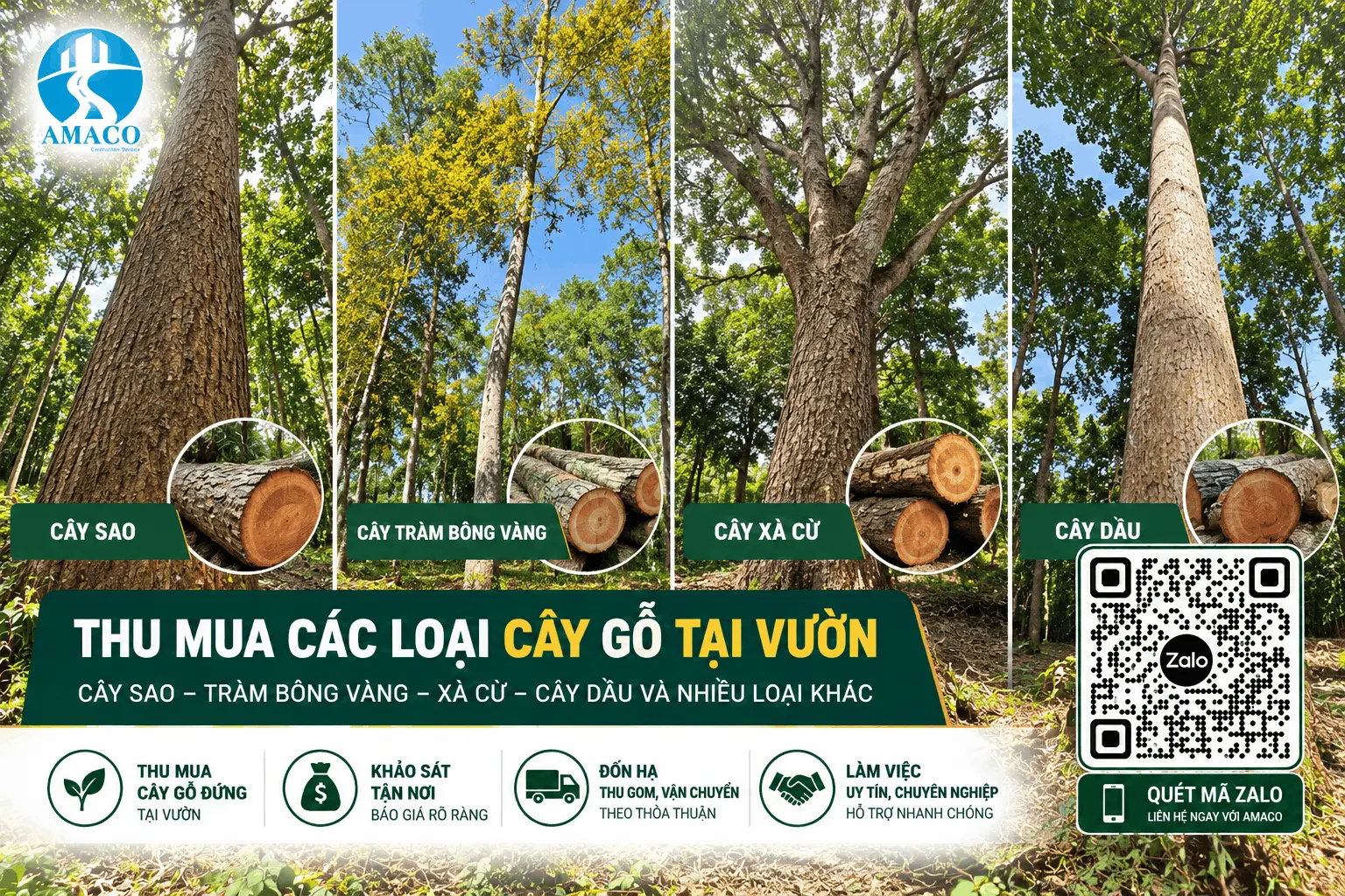 Các loại cây gỗ thu mua tại vườn