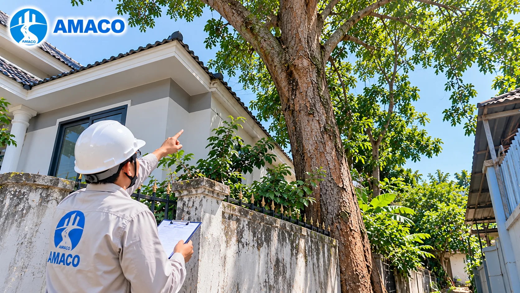 Khảo sát cây gỗ mọc sát tường rào và công trình dân dụng
