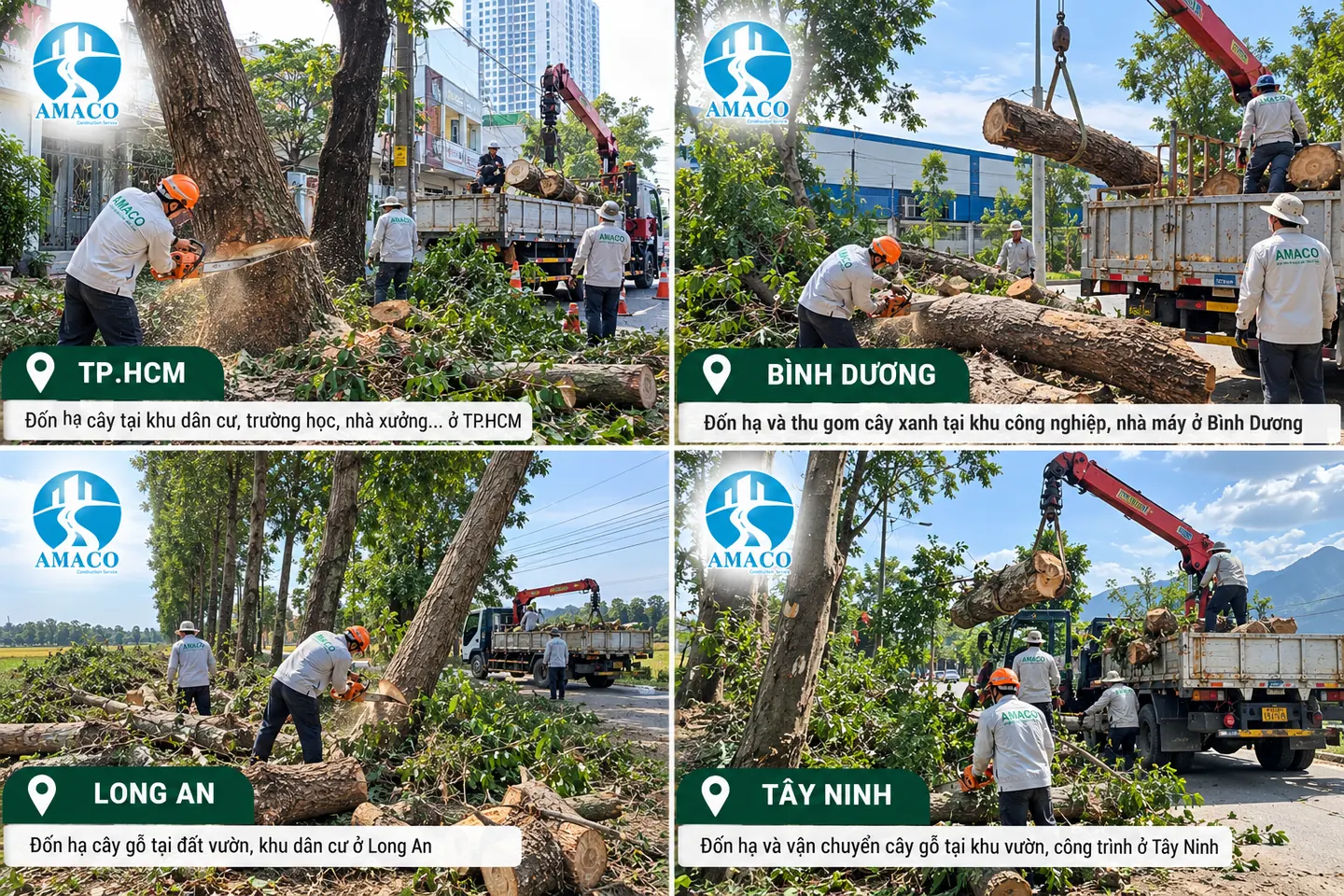 Hình minh họa các điều kiện thu gom cây gỗ ở khu dân cư, khu công nghiệp và đất vườn