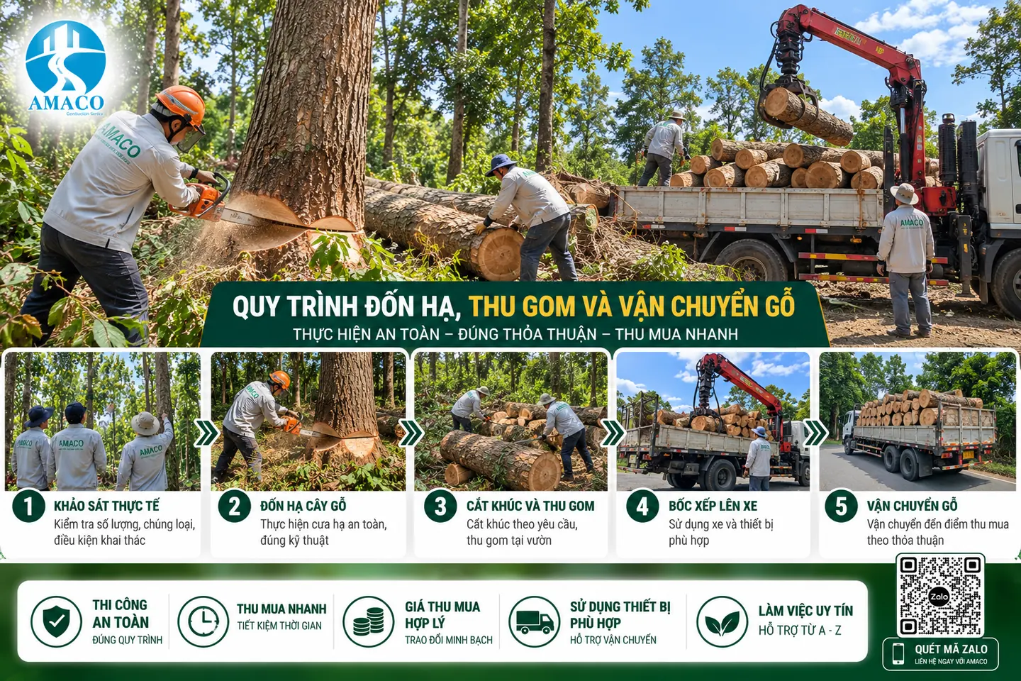 Sơ đồ minh họa các bước đốn hạ, thu gom, bốc xếp và vận chuyển gỗ